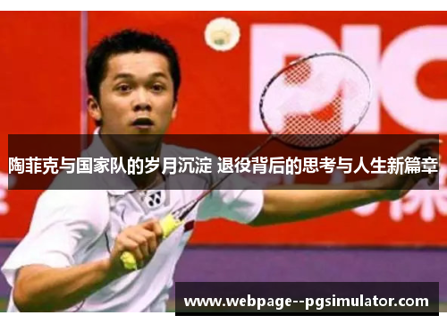 陶菲克与国家队的岁月沉淀 退役背后的思考与人生新篇章