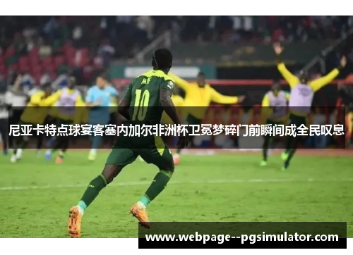 尼亚卡特点球宴客塞内加尔非洲杯卫冕梦碎门前瞬间成全民叹息