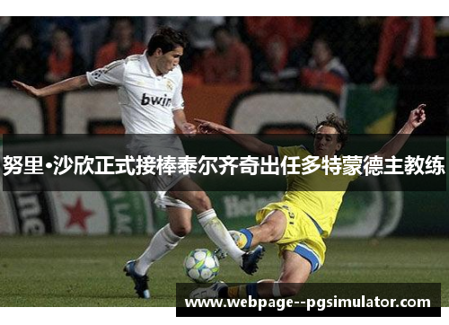 努里·沙欣正式接棒泰尔齐奇出任多特蒙德主教练