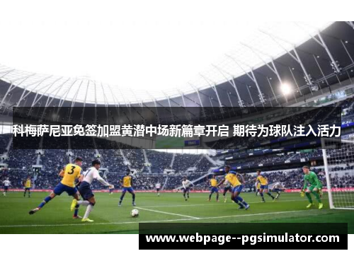 科梅萨尼亚免签加盟黄潜中场新篇章开启 期待为球队注入活力