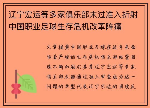 辽宁宏运等多家俱乐部未过准入折射中国职业足球生存危机改革阵痛